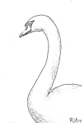 cisne Páginas Para Colorir Para Imprimir